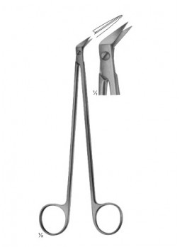 Scissors